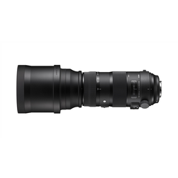 SIGMA 150-600 mm F5-6.3_2.jpeg