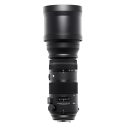 SIGMA 150-600 mm F5-6.3_3.jpeg