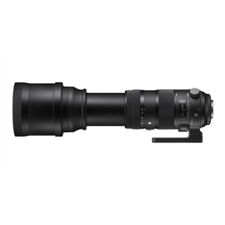 SIGMA 150-600 mm F5-6.3_4.jpeg