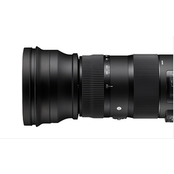 SIGMA 150-600 mm F5-6.3_5.jpeg