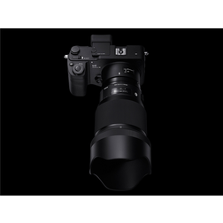 SIGMA85mm_3.jpeg
