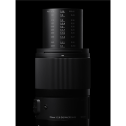 Sigma70mm28_8.jpeg