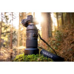 Tamron 150-500 pre Sony E5.jpeg