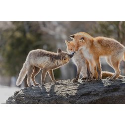 tamron50-400-2.jpeg